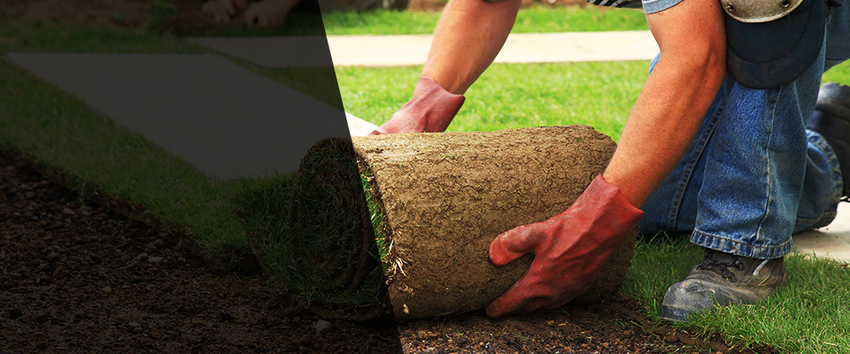 Anacoco Landscapers
